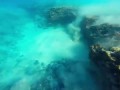 Sober ♥ (GoPro Beach Girls Adventure - California & Hawaii / Reggae 2016) Prod. By Lil Sokz