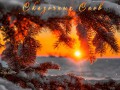 СКАЗОЧНЫХ-снов