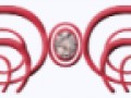 78
