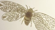 Large-Paper-Bug.-Sculpture-by-Elsa-Mora