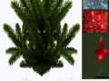 tree_01_koshka