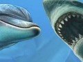 Почему акулы убегают от дельфинов