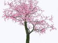 13e9e6f2f1de_yapfiles.ru