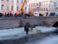 Полиция упала в канал Грибоедова