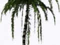 fourtrees