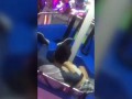 Couple filmed having oral sex on Ferris wheel