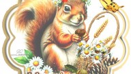 nuts280826.2