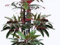 FRI2153-ZM-1