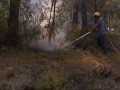 Горят леса в Испании, Хорватии, Румынии