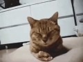 фен мне по шую.