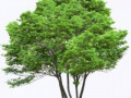0_badae_215f4e42_orig