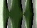 1_3_1