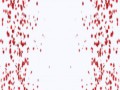 rosenblätter+