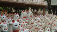 Gotokuji-manekineko-a-october2015