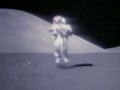 NASA faked the moon landings - Bird Spotted