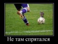 demotivator-0011-533x425