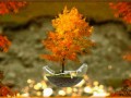 Коллаж от tane4ki 777 "Земля качает осень на ладонях"