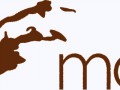 mode_logo