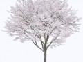 artage-io-thumb-12de7697d9dacc750ff56a759b17c4fa-min