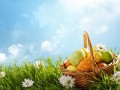 Camomiles_Sky_Easter_Eggs_Wicker_basket_Grass_547277_1280x853