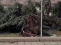 Ураган в Новокузнецке, Бульвар Героев