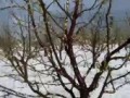 град Лысогорка