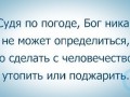 image (6)