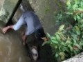 Frightened Dog Rescued from River