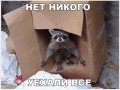 Opera Снимок_2018-03-27_063059_plus.google.com