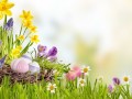 Easter_Eggs_Grass_549984_1280x842