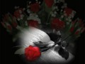 2_arnusha