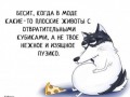 df85b1a8e01ae8862b4f9eba5df3b3e6