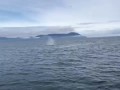 Humpback Whale Soaks Whale Watchers | Gustavus, Alaska