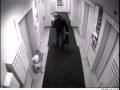 Собака повесилась на дверях лифта (ТЯЖЕЛОЕ ВИДЕО)