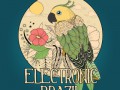 Electronic Brazil, Vol. 1 (Brazilian Flavoured Lounge Tunes)