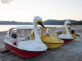 Моторки в виде лебедей