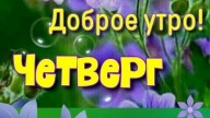 1c85525c52115f8a91568641c396056a_cr