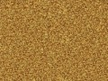 dirt_bright2