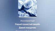 Зверёк