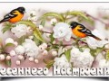 -настроениия...весна2