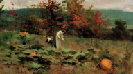 Pumpkin Patch