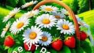 9956d2fdf15070cb2dbe87cea7d24371_cr