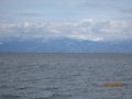 IMG_5017