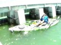 Вот это рыба! Cape Coral Man lands Largest Kayak Bottom Fish Ever!