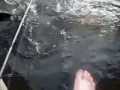 Русские на рыбалке