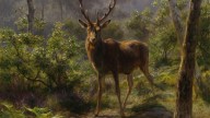 1A_Stag,_by_Rosa_Bonheur