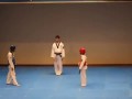 необычный тхэквондо combat dances