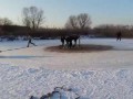 Ekstremalna jazda na sankach - Zima 2017