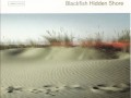 Blackfish - Hidden Shore