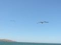DSCN7898